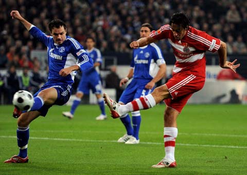 球和组织能 球和组织能